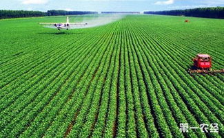 農(nóng)業(yè)科技 現(xiàn)代農(nóng)業(yè)發(fā)展的核心引擎——種植技術(shù)創(chuàng)新與應用