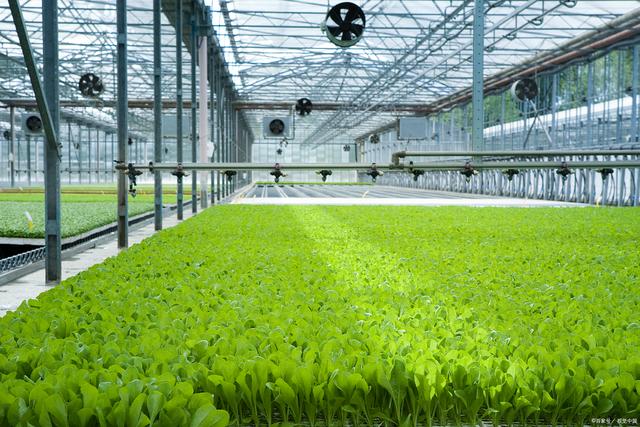 智慧農(nóng)場小程序開發(fā) 引領(lǐng)農(nóng)業(yè)新時代的創(chuàng)新與變革