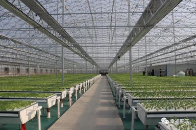 科技賦能，田園生輝 肥東現代農業示范園即將盛大開園